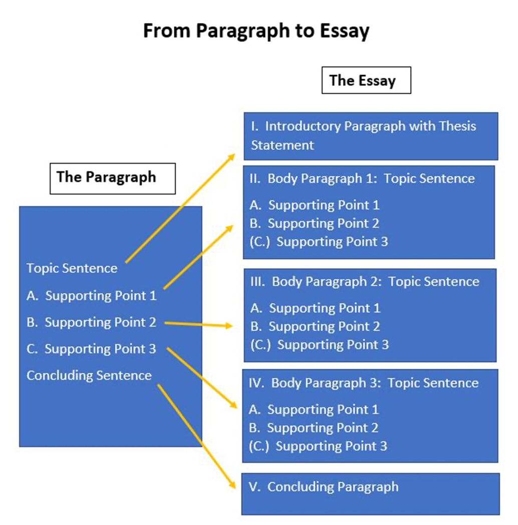 Diagram of Paragraph to Essay Organization