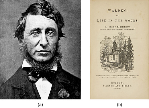 照片 (a) 是亨利·戴维·梭罗的肖像。 图 (b) 显示梭罗的《瓦尔登》的封面；或《树林里的生活》。