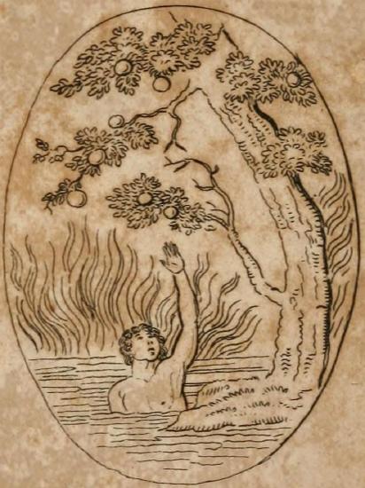 a man is in water, reaching up his hand towards fruit on a tree