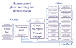 Flowchart of climate crisis contributors