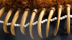 Bear Claw Necklace (Pawnee)
