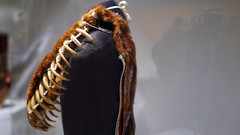 Bear Claw Necklace (Pawnee)