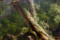 Cole, The Oxbow, detail with tree fungus