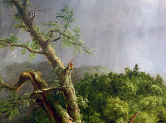 Cole, The Oxbow, detail with strom