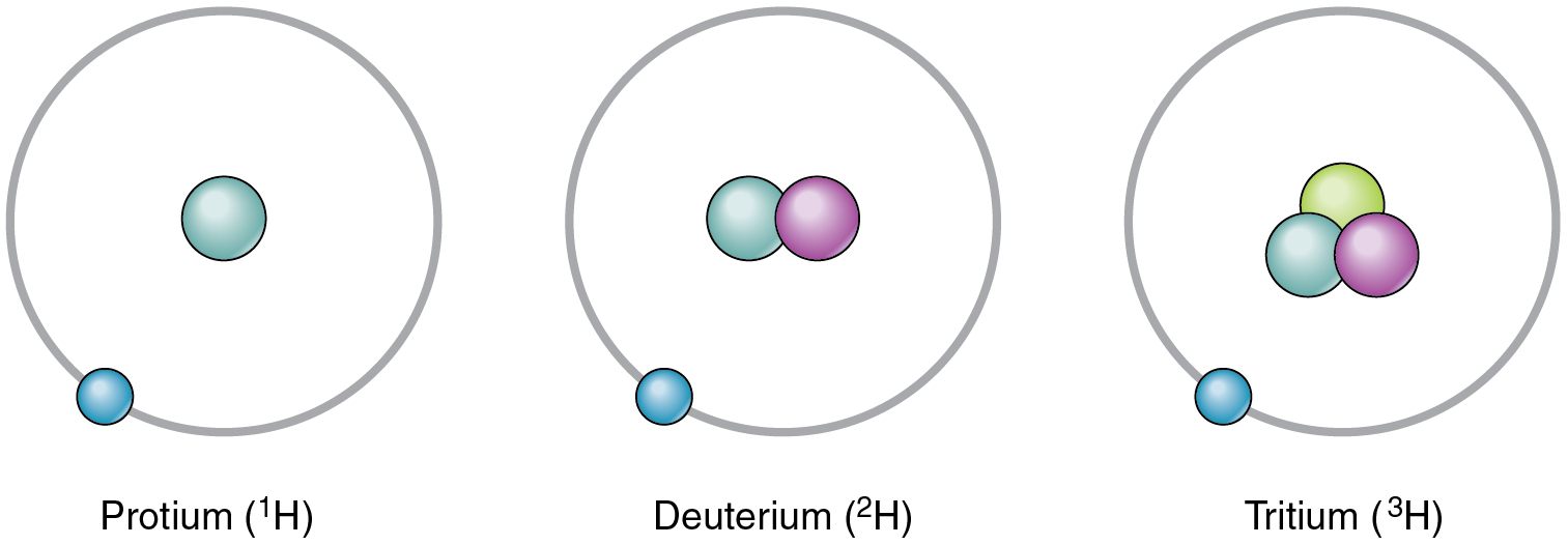 This figure shows the three isotopes of hydrogen: hydrogen, deuterium, and tritium.