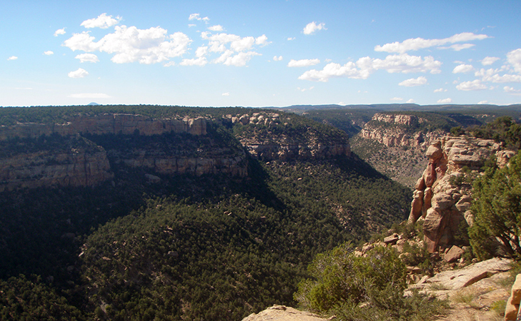 View of a canyon, Masa Verde National Park, Colorado (photo: cfcheever, CC: BY-NC-SA 2.0)