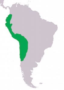 Map, Inka Empire (adapted, CC BY-SA 3.0)