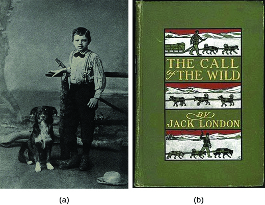 照片 (a) 显示一个年轻的杰克·伦敦站在他的狗旁边。 照片 (b) 显示了伦敦《荒野的呼唤》的早期封面。 在封面插图中，狗在司机的监督下拉着雪橇穿过雪地。