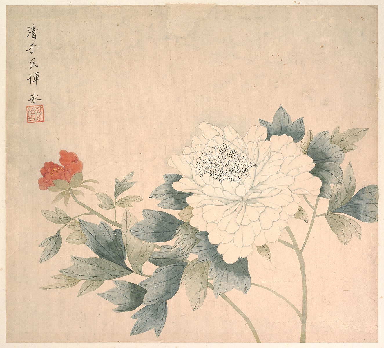 A white flower with a red bud and green foliage with Calligraphy.