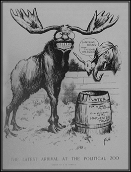 一部名为 “政治动物园的最新到来” 的漫画展示了 Progressive Bull Moose，他的笑容和眼镜与罗斯福的笑容和眼镜相似。 在牛驼之前是一个装有 “水/用于库存目的/Harvester Trust 的赞美” 字样的桶。 从栅栏后面，一头驴和大象看着；头部被绷带包扎的大象说：“受苦的蛇！ 西奥多发生了怎样的变化！”