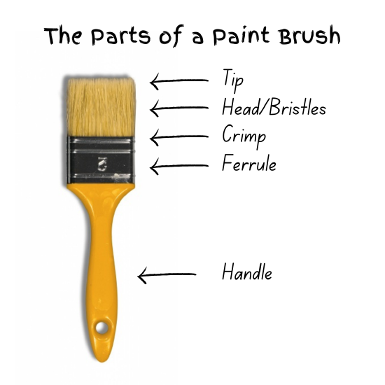 Parts of a Paint Brush.png