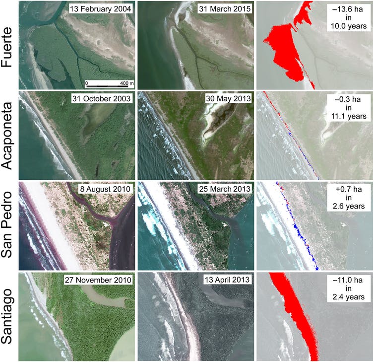 The dammed Fuerto and Santiago Rivers show greater erosion where they reach the Pacific coast than the free-flowing San Pedro and Acaponeta rivers. Images at right show coastline changes during the two periods: blue indicates land accretion, red indicates erosion. Ezcurra et al., 2019., CC BY-NC