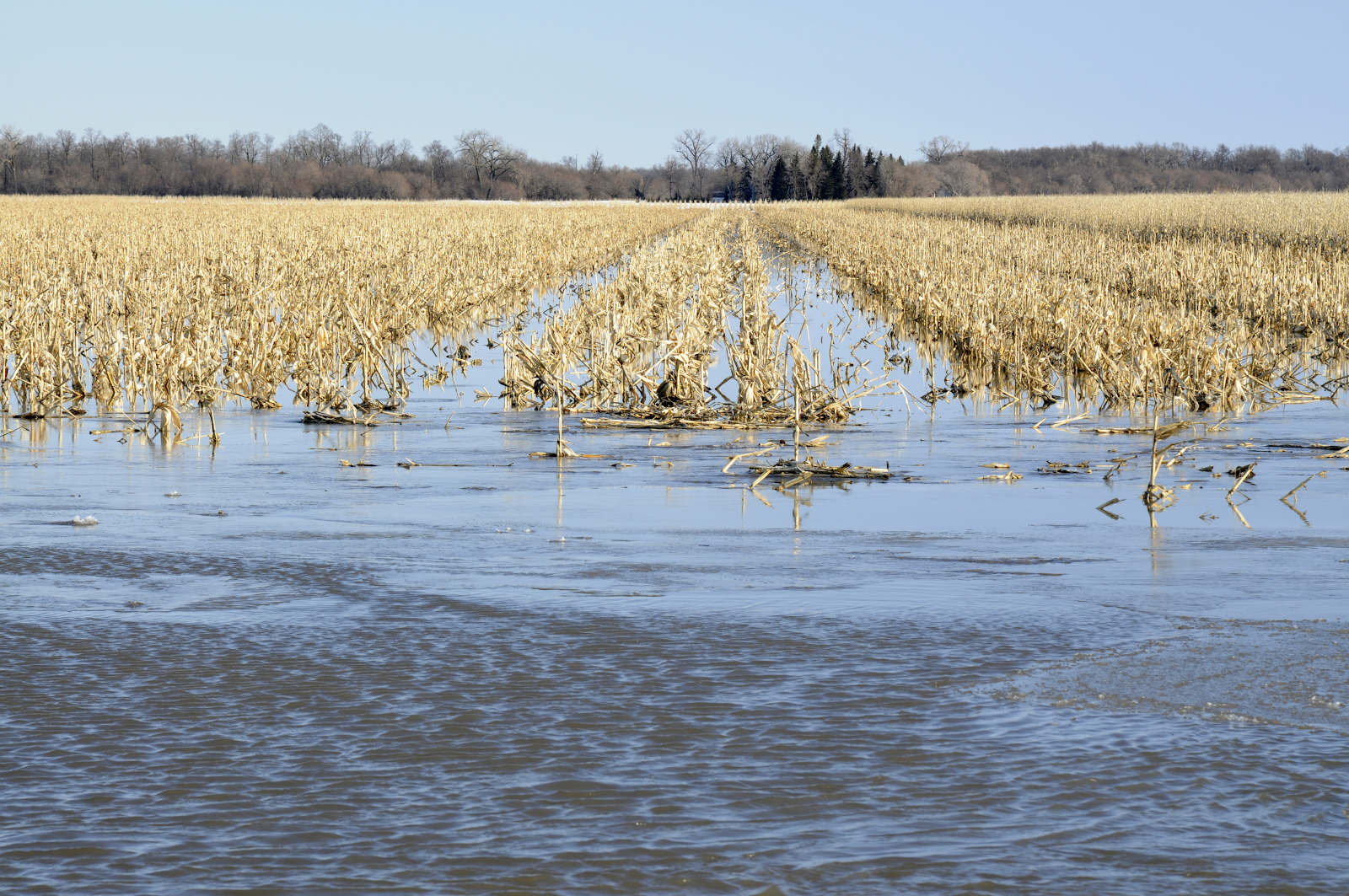 "Farmland being flooded by Missouri and Red Rivers in North Dakota" by Good Free Photos is in the Public Domain, CC0