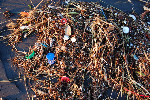 Image of plastic found in the ocean