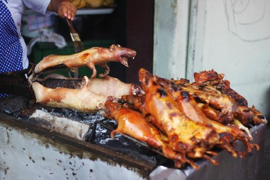 cuy asado (roasted guinea pig)