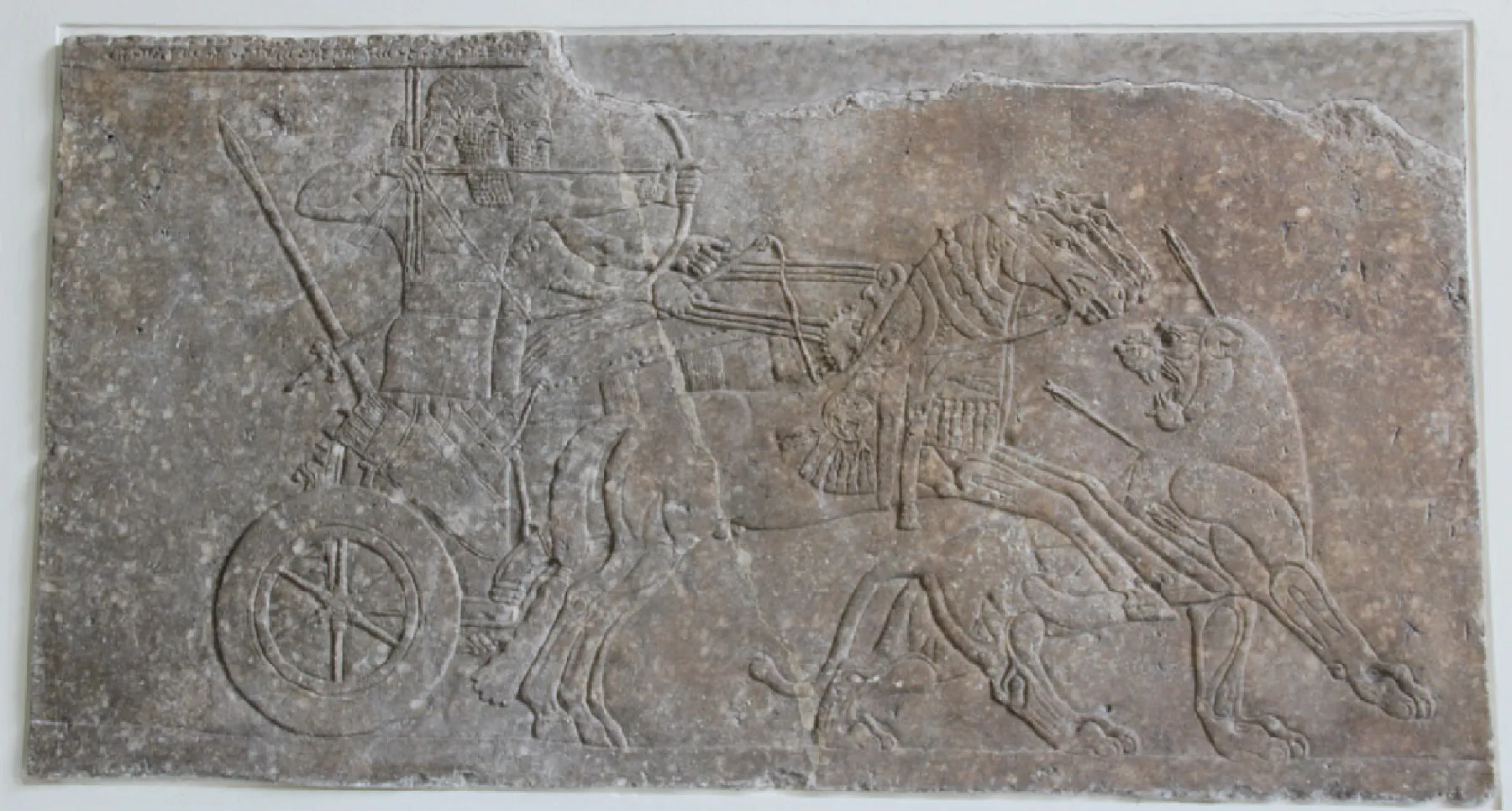 A picture of a gray stone carving is shown with a crack running down the middle and a piece missing from the top right. The scene depicts two figures in the back of a standing chariot being pulled by two horses chasing a lion. The two figures wear long headdresses, have long beards, and have cloths around their waists. The figure in the back holds the reins of the chariot while the figure in the forefront aims a bow and arrow to the right. A spear sticks out the back of the chariot. The two horses pulling the chariot have elaborate décor on their heads and their front legs are in the air. The muscular lion is facing backward toward the horse and chariot and baring its teeth. Arrows stick out its head and shoulders.