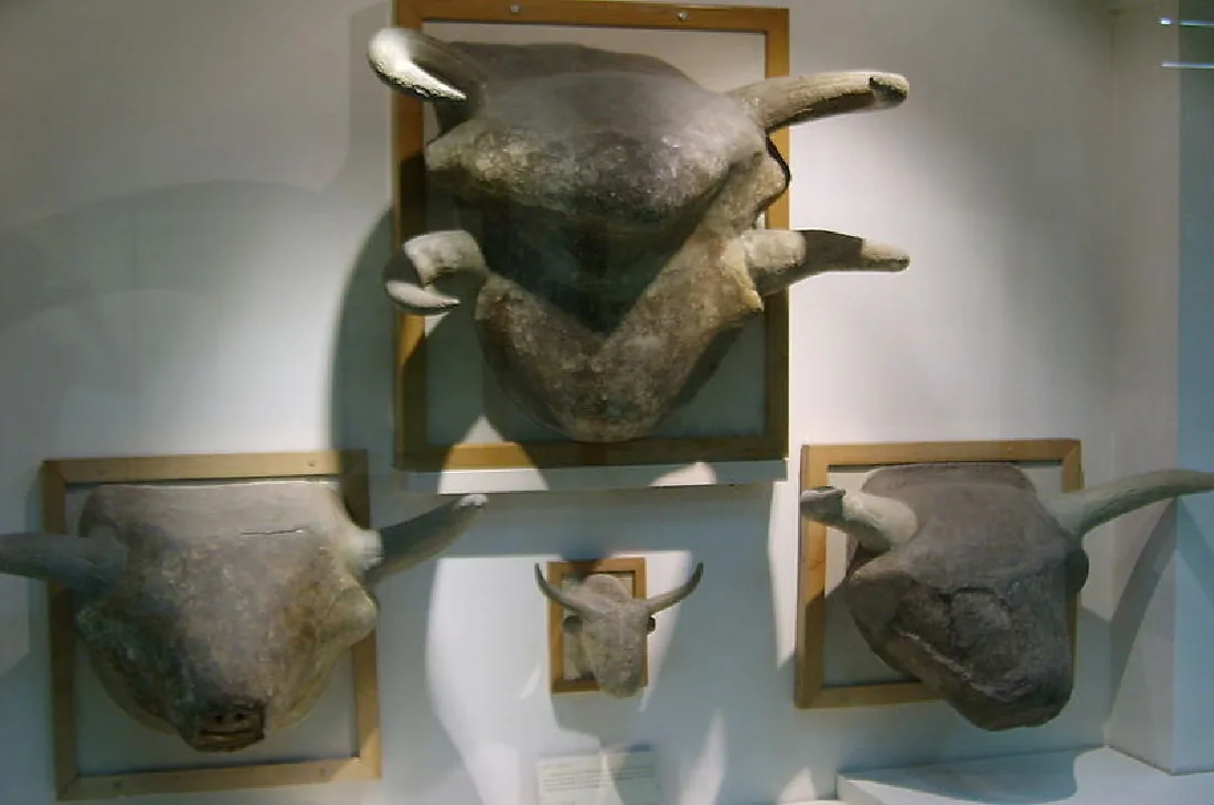 A picture of four stone animal heads hung on a wall in wood frames is shown. The stones are gray and brown with one large one at the top and two medium ones on either side across the bottom and a very small one in the middle of those two in the bottom row. The head on top has two sets of horns, a large protruding forehead and no facial features. The two heads on the ends along the bottom have one set of horns, wide heads, and no facial features. The small one in the bottom middle is long and thin and has circular objects sticking out at the sides and no facial features. There is a small placard below the small animal head.