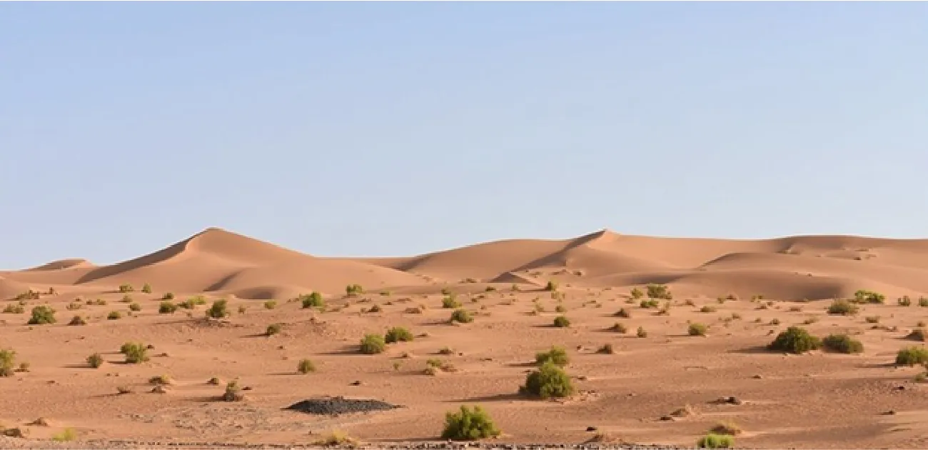 A picture of a sandy terrain made up of small hills and sparse, small green bushes is shown on a clear blue background.