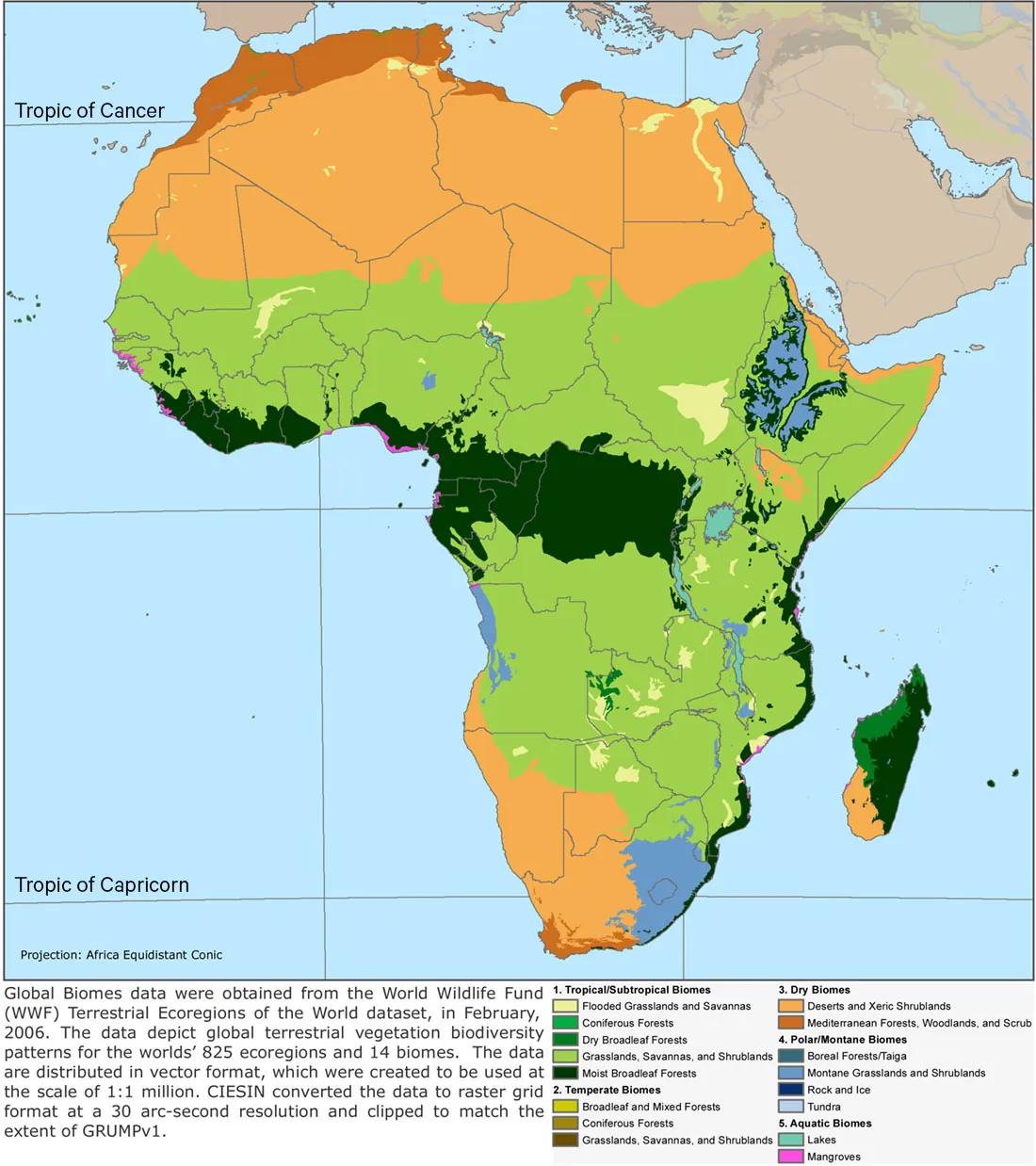 A map of Africa is shown. The Tropic of Cancer and the Tropic of Capricorn are labeled. Five different biomes are represented in varying degrees of colors: 1. Tropical/Subtropical Biomes which show Flooded Grasslands and Savannas in light yellow (small areas in several locations all around Africa), Coniferous Forests in green (none on this map), Dry Broadleaf Forests in dark green (located mostly on the northwestern coast of Madagascar and in a small inland location in southern Africa), Grasslands, Savannas, and Shrublands in light green (located throughout most of the middle third of Africa), and Moist Broadleaf Forests in dark green (located on the eastern half of Madagascar, in a thin slice along the eastern coast of Africa, and running in a horizontal section in the middle of Africa). 2. Temperate Biomes which show Broadleaf and Mixed Forests in mustard yellow (none on this map), Coniferous Forests in brown (none on this map), and Grasslands, Savannas, and Shrublands in dark brown (none on this map). 3. Dry Biomes show Deserts and Xeric Shrublands in light orange (located in the north and south and in some small areas in between as well as in the south of Madagascar) and Mediterranean Forests, Woodlands, and Scrub in dark orange (located at the northern and southern tips of the continent). 4. Polar/Montane Biomes which show Boreal Forests/Taigas in denim blue (none on this map), Montane Grasslands and Shrublands in blue (located in the south as well as in the east and in small areas throughout the continent), Rock and Ice in dark blue (none on this map) and Tundra in light blue (located in patches on the eastern side of the continent). 5. Aquatic Biomes which show Lakes in seafoam green (located in the a few spots in the western part of Africa) and Mangroves in pink (shown in small areas along the coasts of the continent and Madagascar).