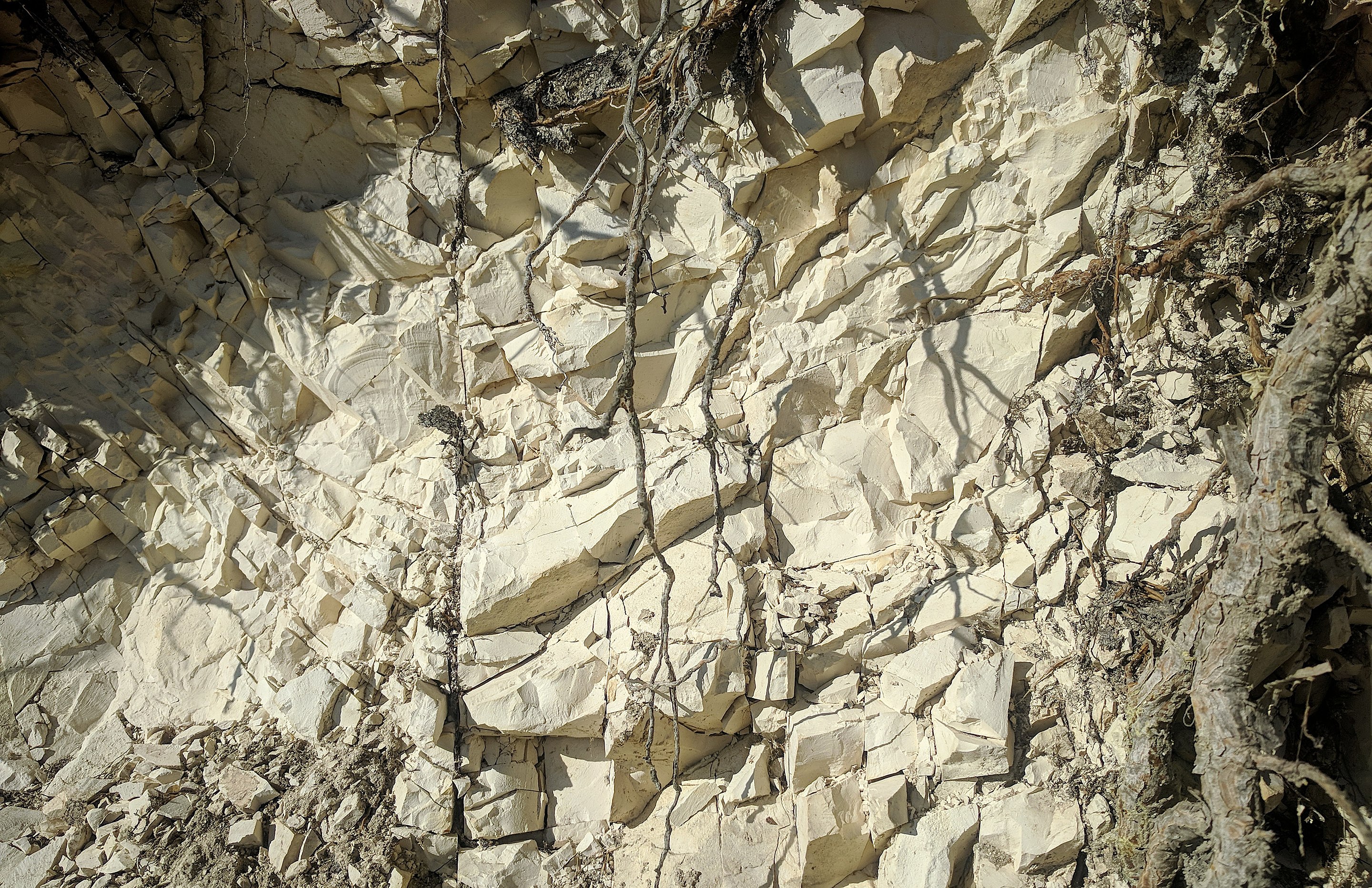 Limestone_Eocene_deposit_at_Sinj_Stari_grad_-_Dalmatia_-_Croatia_IMG_20210820_083857.jpg