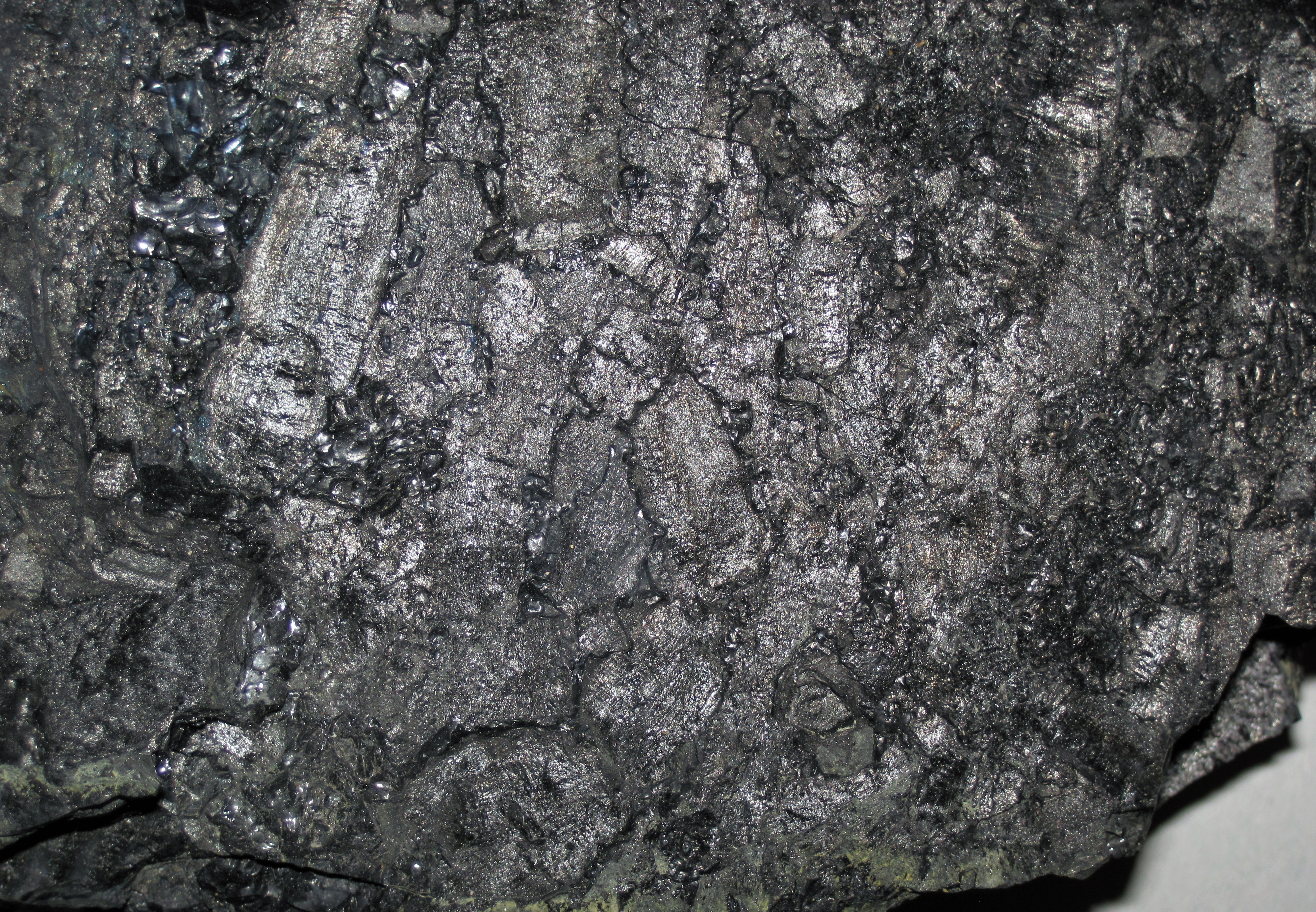 Fossil_charcoal_in_bituminous_coal_(Pikeville_Formation,_Middle_Pennsylvanian;_Rt._15_roadcut_north_of_Jackson,_Kentucky,_USA)_2.jpg