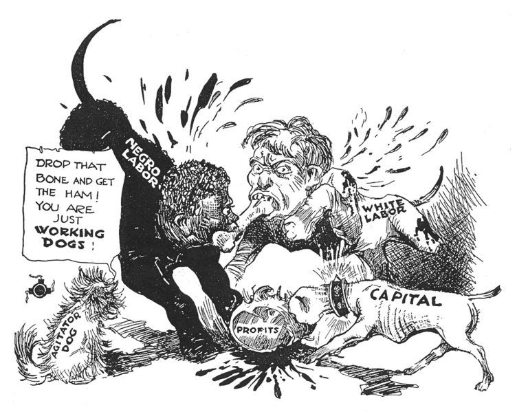 Political cartoon shows two dogs, one dog with a black person's head labeled "negro labor", and another dog with a white person's head labeled "white labor", which are fighting over a bare bone. At the same time, while the two dogs fight over the scrap, another dog labeled "capital" slyly eats a whole leg of ham below them which is labeled "profits". The caption on the cartoon reads: "Drop that bone and get the ham! You are just working dogs!"