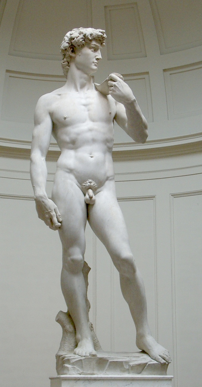 Michelangelo’s David stands in contrapposto pose.