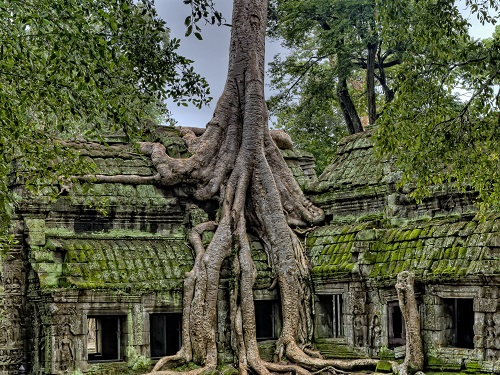 mindtouch.page#thumbnail