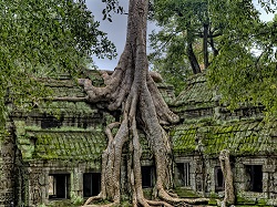 mindtouch.page#thumbnail