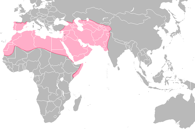 A map of Afro-Eurasia highlights the regions of Spain, North Africa and the Middle East to show the extent of the Umayyad Caliphate in 750 CE.
