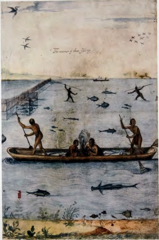 Figure 2.5: JOHN WHITE, Indians Fishing, c. 1585. Watercolor touched with white and gold, 137/8 x 9 in (35.3 x 22.8 cm). British Museum, London .