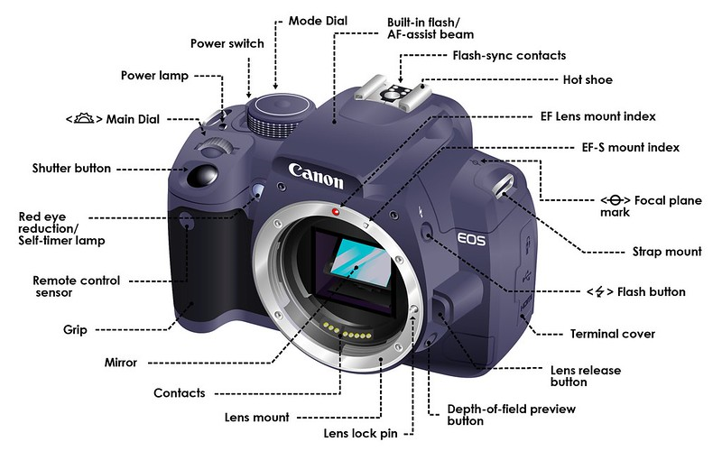 A digital camera with the various external components labelled.  