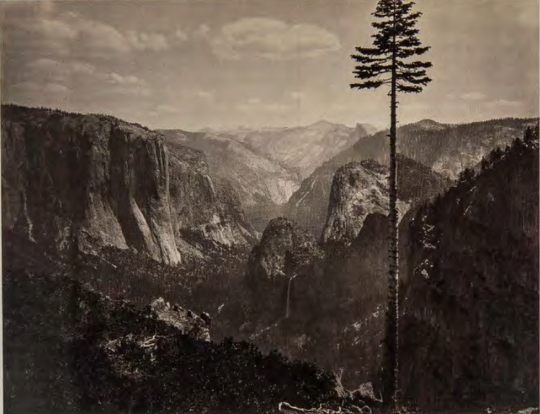 Figure 9.22: CARLETON WATKINS, Yosemite Valley from the Best General View, 1865. Albumen print. American Geographical Society Collection, University of Wisconsin Milwaukee Library.