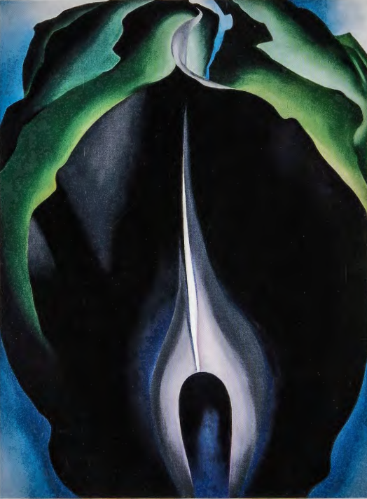 Figure 12.19: GEORGIA O' KEEFFE, Jack-in-the-Pulpit, no. IV, 1930. Oil on canvas, 40 x 30 in (101.6 x 76.2 cm). National Gallery of Art, Washington, DC. Alfred Stieglitz Collection. Bequest of Georgia O'Keeffe.