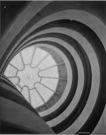 Figure 17.34: FRANK LLOYD WRIGHT, Solomon R. Guggenheim Museum, view of oculus, New York, 1943- 59. Photograph by Ezra Stoller.