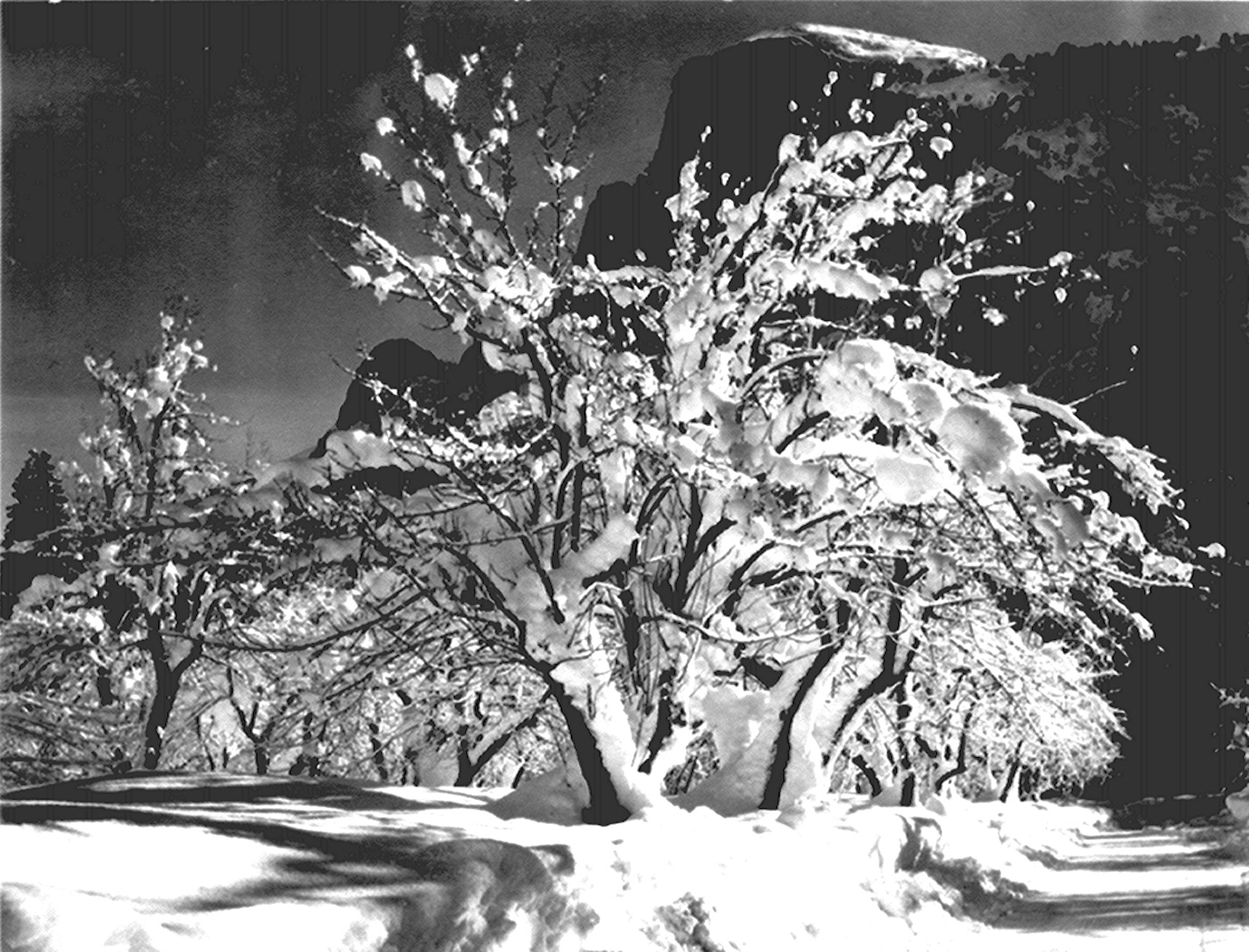 Ansel_Adams-Half_Dome_Apple_Orchard_Yosemite.jpg