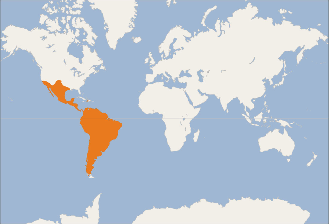 In the world map, most of South America and the bottom of North America are highlighted.