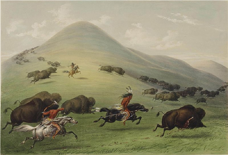 A painting shows three American Indians with feathers in their hair and brown pants with feathers up and down the sides riding on horses on a green hilly area. Two of them use a bow and arrow to shoot at bison while the third is holding a long spear. The bison run throughout the grassy mountains. One bison in front has an arrow in his side and is bleeding as he runs.