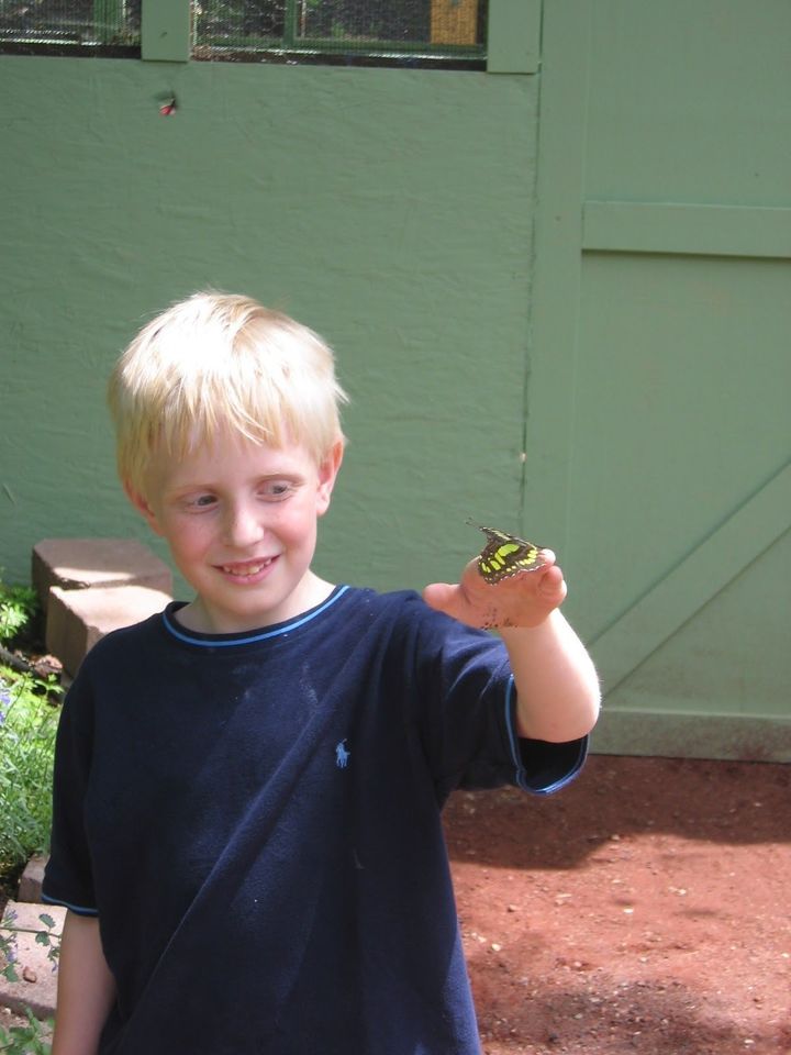 A young boy holds a butterfly. The boy has an undiagnosed mental illness.