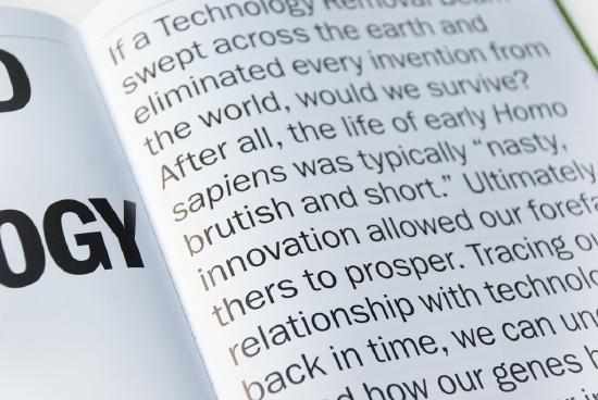 Detail: essay introduction