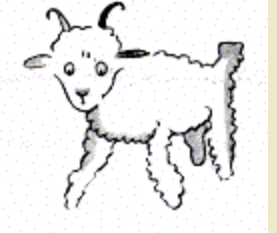 Le mouton.png