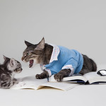 mindtouch.page#thumbnail