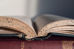 mindtouch.page#thumbnail