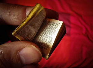 Photo of a tiny dictionary, held between a person's thumb and forefinger, against a red background
