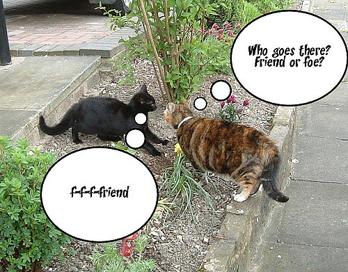 Two cats in an urban setting. Tabby on right has thought bubble: "Who goes there? Friend or foe?" Black cat on left, in submissive position, has thought bubble: "f-f-f-friend."