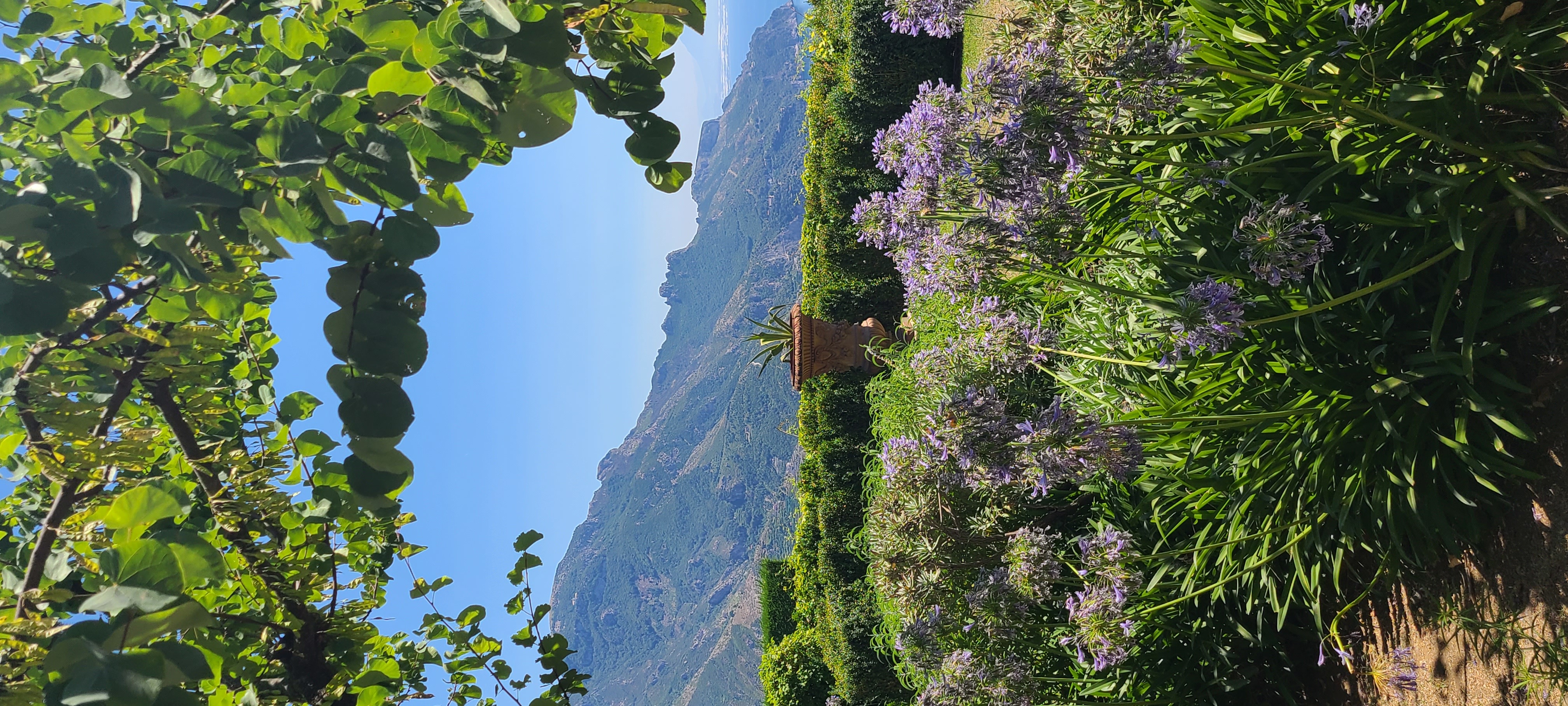 A beautiful garden overlooking a rugged coastline