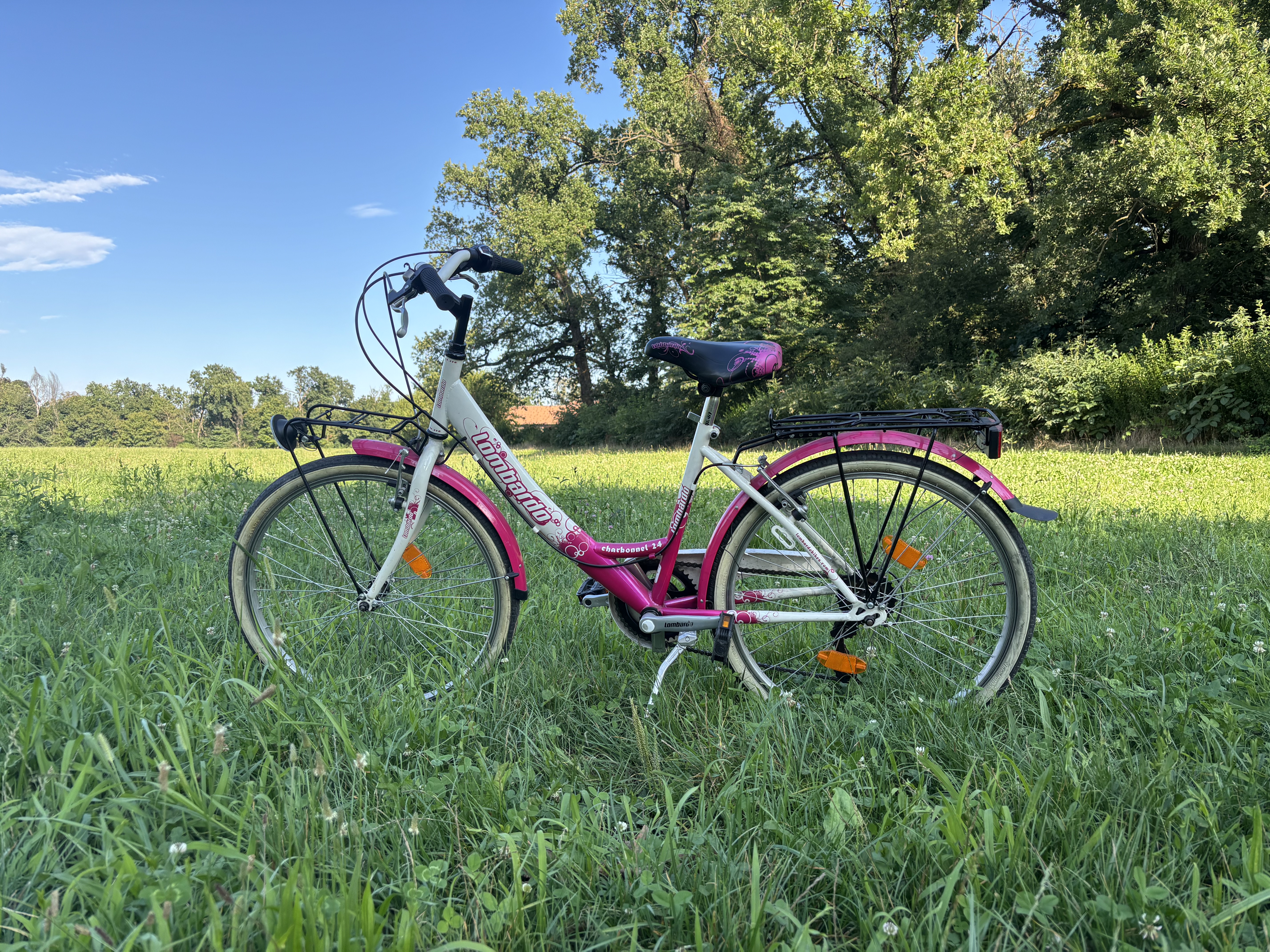 A bicycle parked on its kickstand in the grass in a park.
