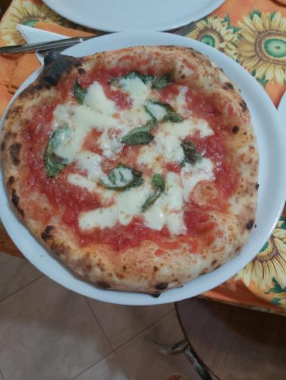 A freshly baked pizza with tomato sauce, mozzarella cheese, and basil on a white plate, placed on a colorful tablecloth.