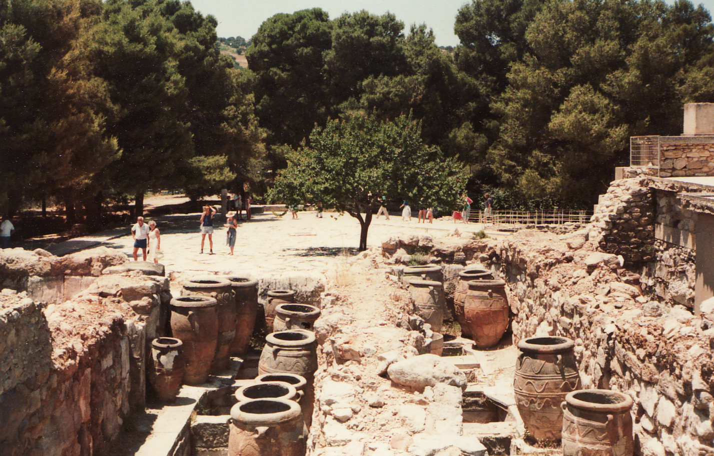 Archaeological site with large ancient pots and a tree, surrounded by visitors and pine trees in the background.