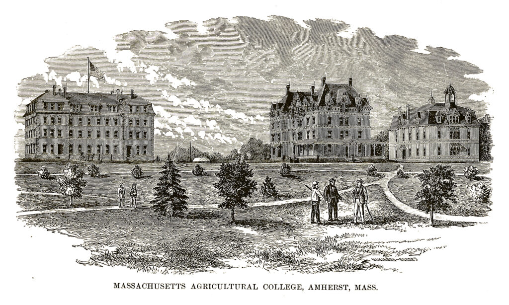 An illustration of three academic buildings at the Massachusetts Agricultural College, Amherst, Mass. Several men stand in a large college hard with several small trees, all of which appear to exist to show the vast size of the academic buildings. Massachusetts Agricultural College, Amherst, Mass. 1879, 1880. Wikimedia.